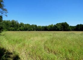 8.2+/- Acre Mini Farm For Sale in Scotland County NC!