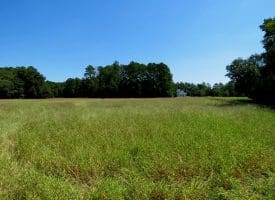 5.2+/- Acre Mini Farm For Sale in Scotland County NC!