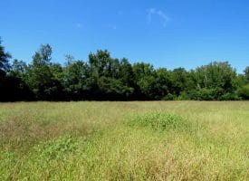 8.2+/- Acre Mini Farm For Sale in Scotland County NC!