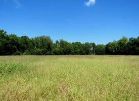 8.2+/- Acre Mini Farm For Sale in Scotland County NC!