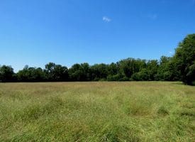 8.2+/- Acre Mini Farm For Sale in Scotland County NC!