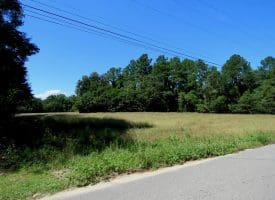 8.2+/- Acre Mini Farm For Sale in Scotland County NC!