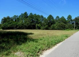 8.2+/- Acre Mini Farm For Sale in Scotland County NC!