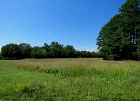 5.2+/- Acre Mini Farm For Sale in Scotland County NC!