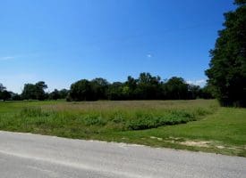 5.2+/- Acre Mini Farm For Sale in Scotland County NC!