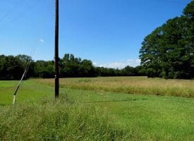 5.2+/- Acre Mini Farm For Sale in Scotland County NC!