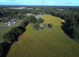 Tract 4-2.63 Acres Bill Hooks Rd Whiteville, NC