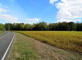 Tract 3-3.82 Acres Bill Hooks Rd Whiteville, NC