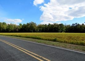 Tract 4-2.63 Acres Bill Hooks Rd Whiteville, NC