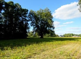 Tract 2-12.2 Acres Bill Hooks Rd Whiteville, NC