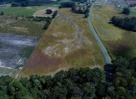 1.88 +/- Acres of Residential Land Located on Plantation Rd in Jones County NC