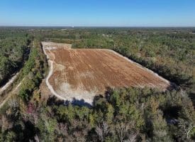 203 Acres of Industrial, Recreational or Timber Management Land in Maxton, NC