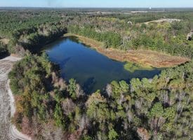 203 Acres of Industrial, Recreational or Timber Management Land in Maxton, NC