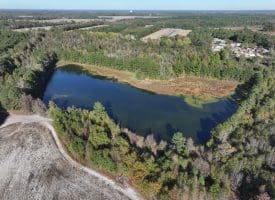 203 Acres of Industrial, Recreational or Timber Management Land in Maxton, NC