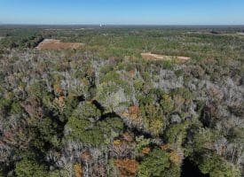 203 Acres of Industrial, Recreational or Timber Management Land in Maxton, NC