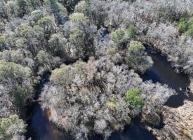 203 Acres of Industrial, Recreational or Timber Management Land in Maxton, NC