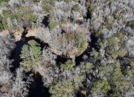 203 Acres of Industrial, Recreational or Timber Management Land in Maxton, NC