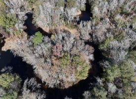 203 Acres of Industrial, Recreational or Timber Management Land in Maxton, NC