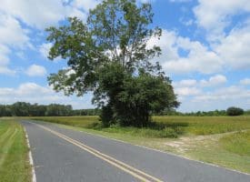 1.88 +/- Acres of Residential Land Located on Plantation Rd in Jones County NC