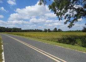 1.88 +/- Acres of Residential Land Located on Plantation Rd in Jones County NC