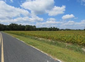 1.82 +/- Acres Residential Lot on Plantation Rd in Jones County NC