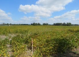 1.88 +/- Acres of Residential Land Located on Plantation Rd in Jones County NC