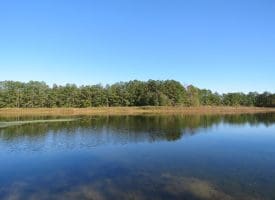 203 Acres of Industrial, Recreational or Timber Management Land in Maxton, NC