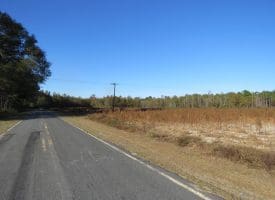 203 Acres of Industrial, Recreational or Timber Management Land in Maxton, NC