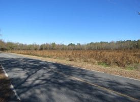 203 Acres of Industrial, Recreational or Timber Management Land in Maxton, NC