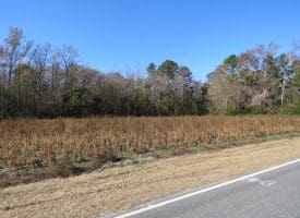 203 Acres of Industrial, Recreational or Timber Management Land in Maxton, NC