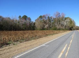 203 Acres of Industrial, Recreational or Timber Management Land in Maxton, NC
