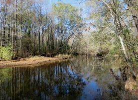 203 Acres of Industrial, Recreational or Timber Management Land in Maxton, NC