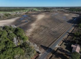 75+/- Acres of Farmland For Sale in Bladen County NC!
