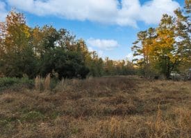 19 +/- Acres of Residential and Hunting Land For Sale in Robeson County NC!