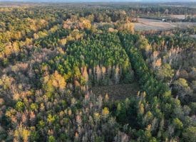 19 +/- Acres of Residential and Hunting Land For Sale in Robeson County NC!