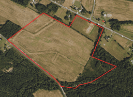 75+/- Acres of Farmland For Sale in Bladen County NC!