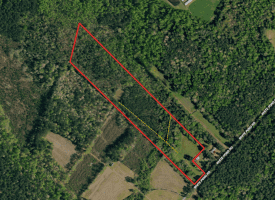 19 +/- Acres of Residential and Hunting Land For Sale in Robeson County NC!