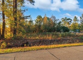 19 +/- Acres of Residential and Hunting Land For Sale in Robeson County NC!