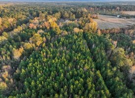 19 +/- Acres of Residential and Hunting Land For Sale in Robeson County NC!