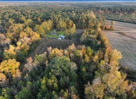 19 +/- Acres of Residential and Hunting Land For Sale in Robeson County NC!