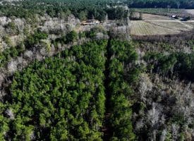 19 +/- Acres of Residential and Hunting Land For Sale in Robeson County NC!