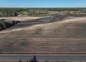 75+/- Acres of Farmland For Sale in Bladen County NC!