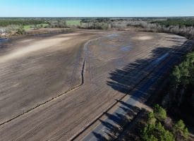 75+/- Acres of Farmland For Sale in Bladen County NC!