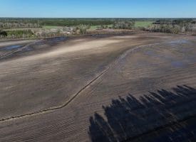 75+/- Acres of Farmland For Sale in Bladen County NC!