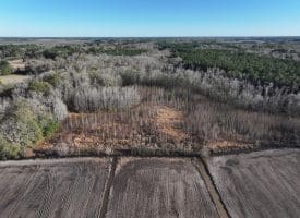 75+/- Acres of Farmland For Sale in Bladen County NC!