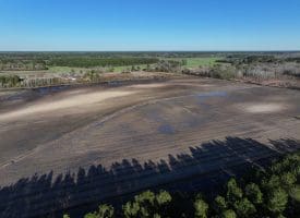 75+/- Acres of Farmland For Sale in Bladen County NC!
