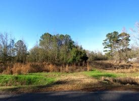 19 +/- Acres of Residential and Hunting Land For Sale in Robeson County NC!