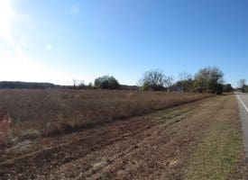 75+/- Acres of Farmland For Sale in Bladen County NC!
