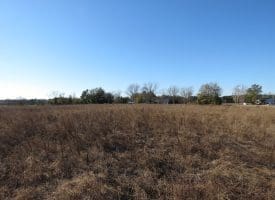75+/- Acres of Farmland For Sale in Bladen County NC!