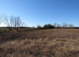75+/- Acres of Farmland For Sale in Bladen County NC!